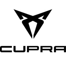 cupra exhaust system